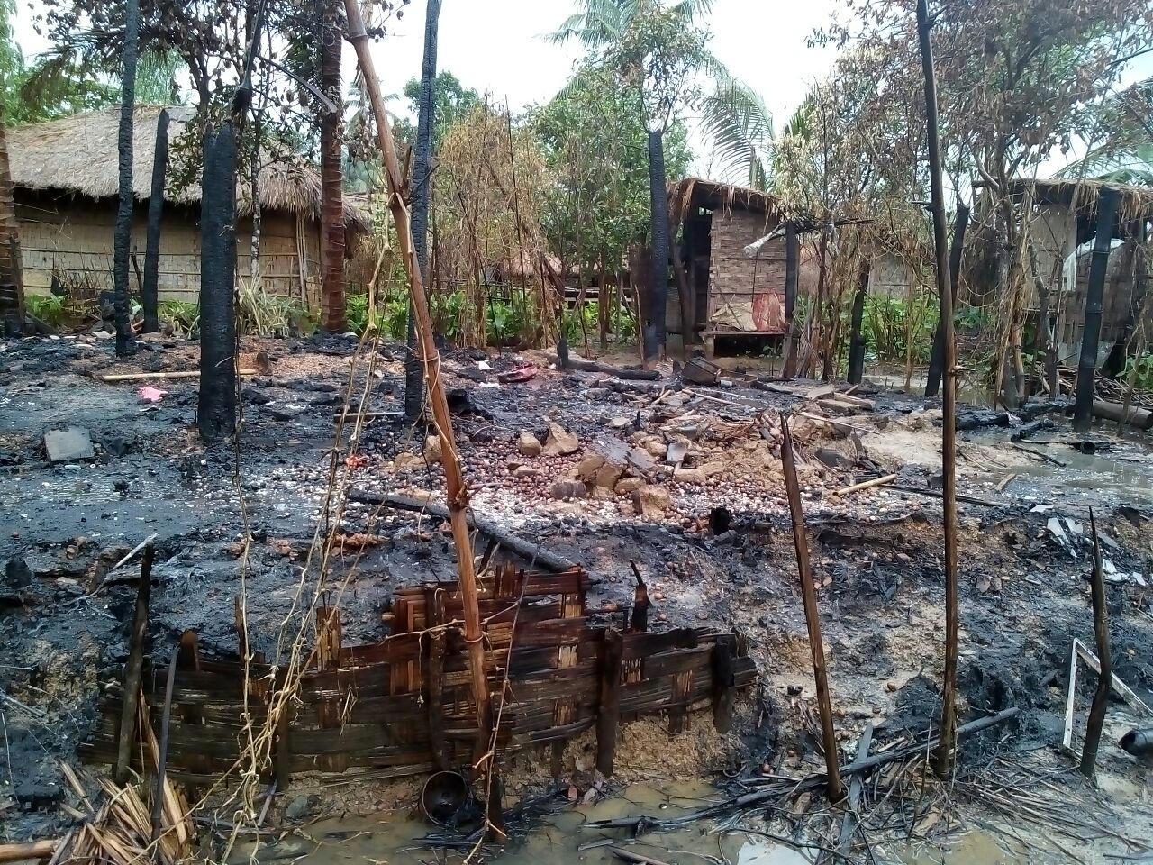 ARNO Press Release: The Problem in Rakhine State is not ‘Quarrel’ but Genocide