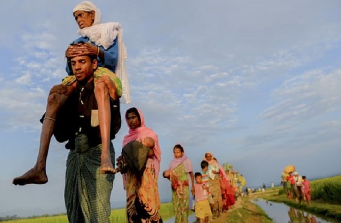 ‘Bangladesh, involve ICC into Rohingya crisis’