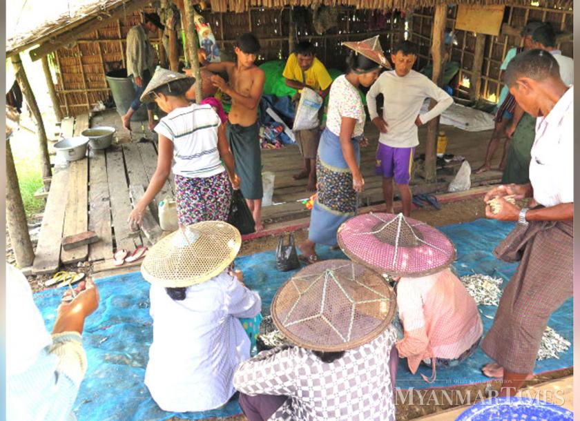 Rakhine fisherfolk struggle despite fisheries export boom